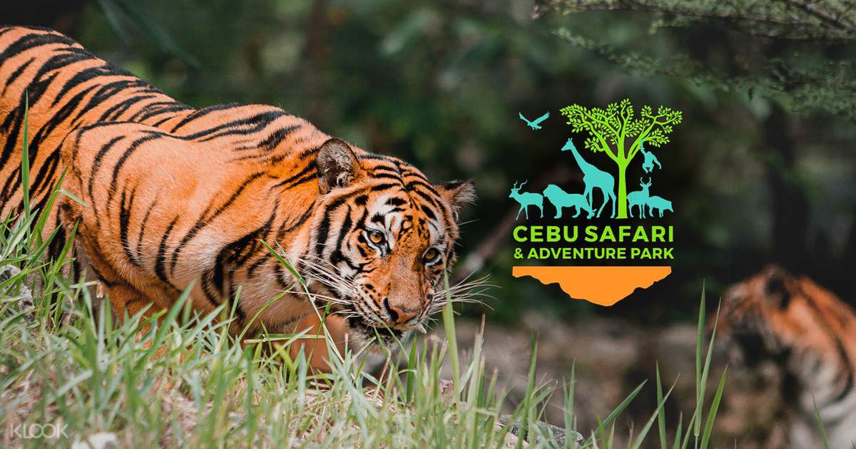 Cebu Safari and Adventure Park Admission Ticket, Philippines